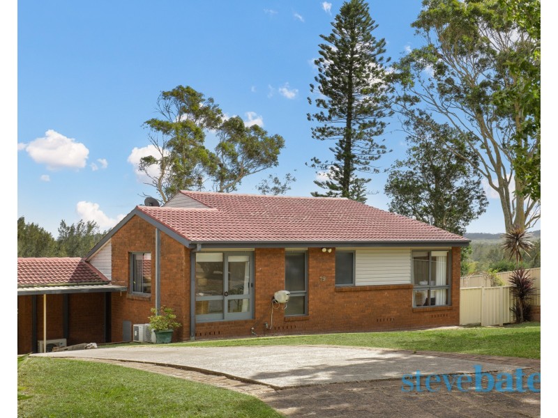 19 Holwell Circuit, Raymond Terrace NSW 2324