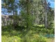 98 Riverside Drive, Karuah NSW 2324