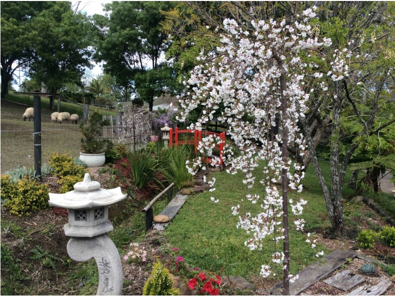 246 Tannery Road, Cambewarra NSW 2540