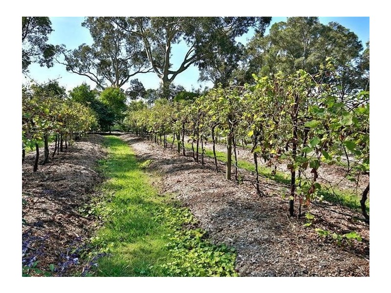 300 Greenwell Point Road, Worrigee NSW 2540