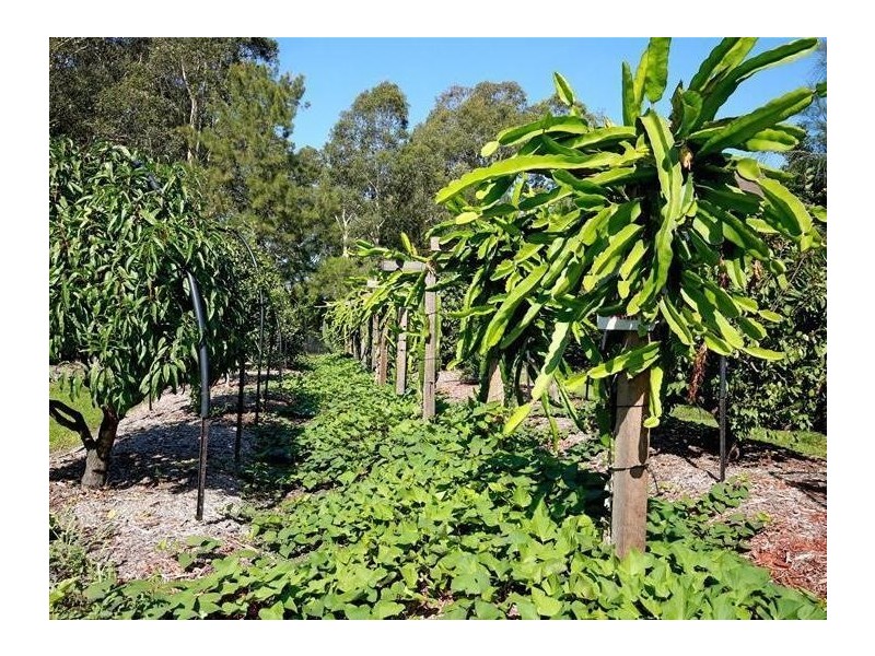 300 Greenwell Point Road, Worrigee NSW 2540