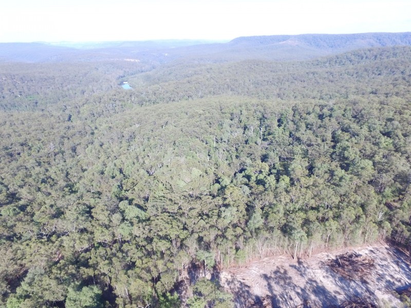 Lot 101 Lower Bugong Road, Budgong NSW 2577