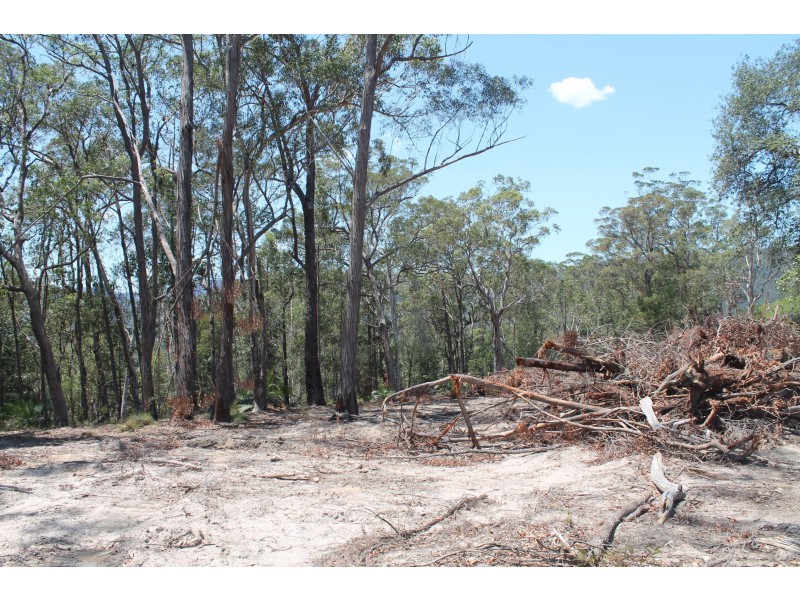 Lot 101 Lower Bugong Road, Budgong NSW 2577