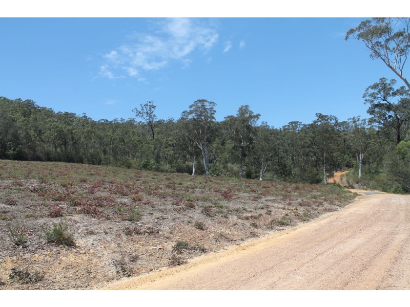 PT 102 Lower Bugong Road, Budgong NSW 2577