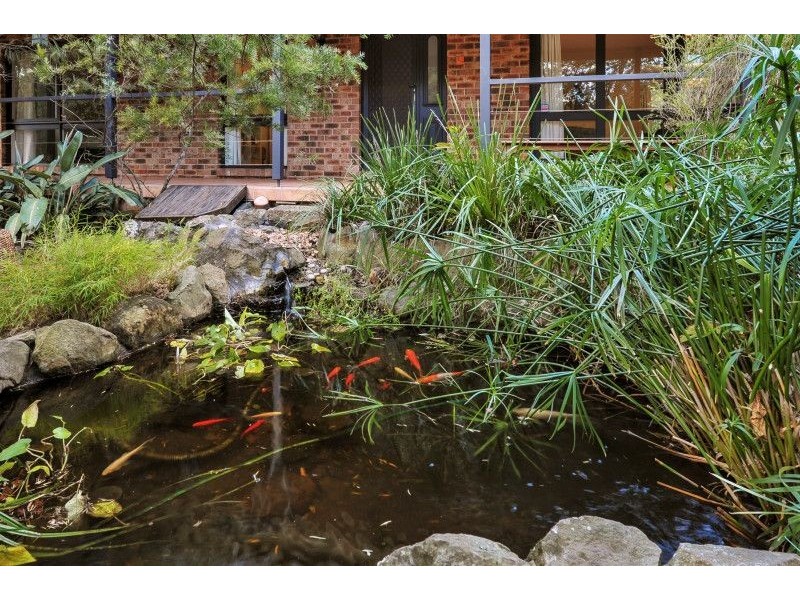 40 Brinawarr Street, Bomaderry NSW 2541