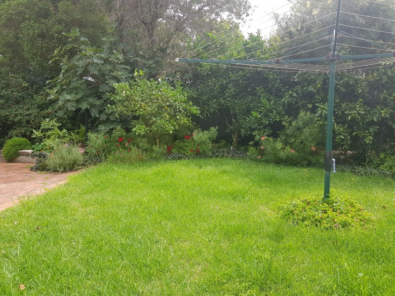 17 Colyer Avenue, Nowra NSW 2541