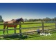 154 Woncor Avenue, Nowra Hill NSW 2540