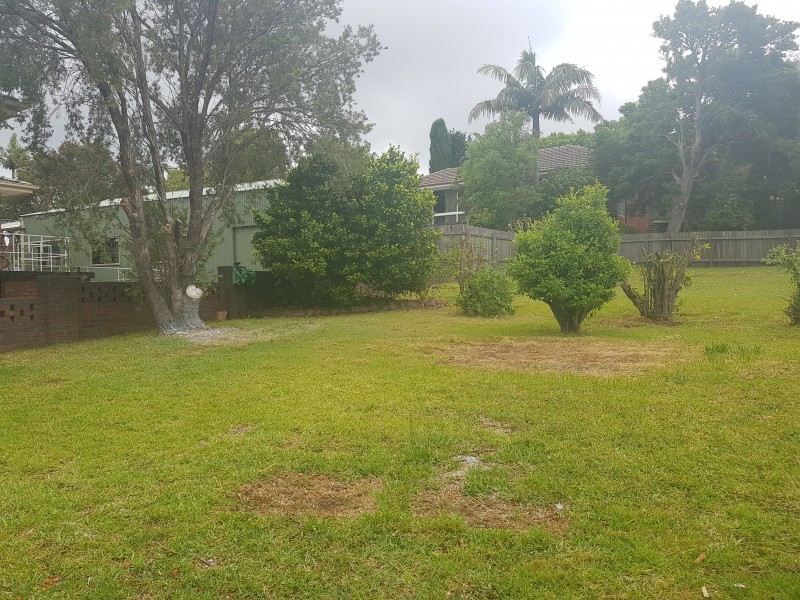 145 Meroo Road, Bomaderry NSW 2541