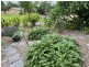 104 Warren Avenue, North Nowra NSW 2541