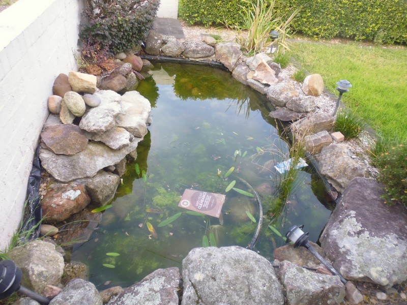 3 Tallayang Street, Bomaderry NSW 2541