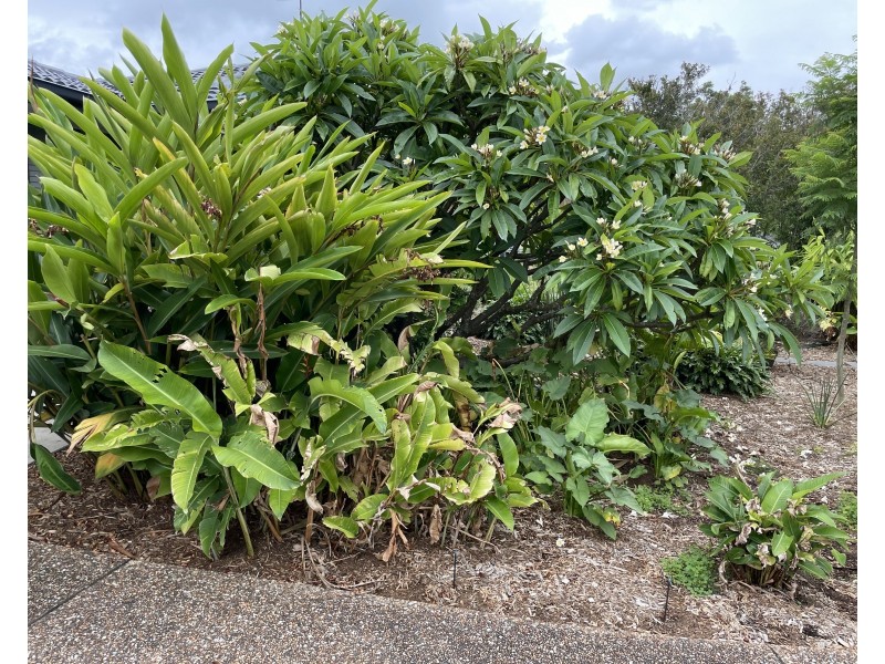 104 Warren Avenue, North Nowra NSW 2541