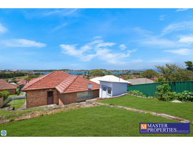 36 Lee Street, Warrawong NSW 2502