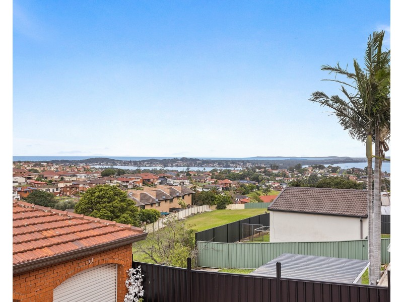 3 Barina Avenue, Lake Heights NSW 2502