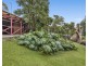 13 Ribbonwood Road, Farmborough Heights NSW 2526