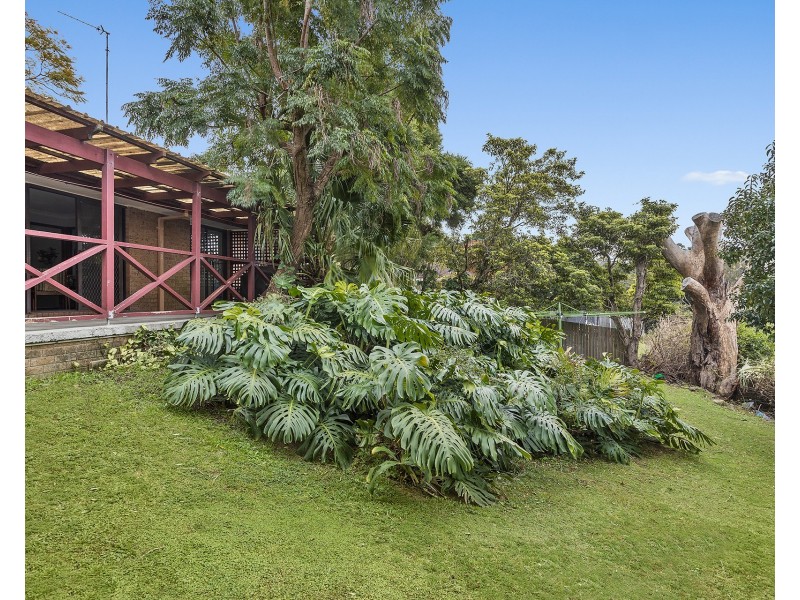 13 Ribbonwood Road, Farmborough Heights NSW 2526