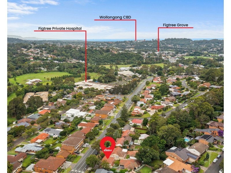 53a Gibsons Road, Figtree NSW 2525