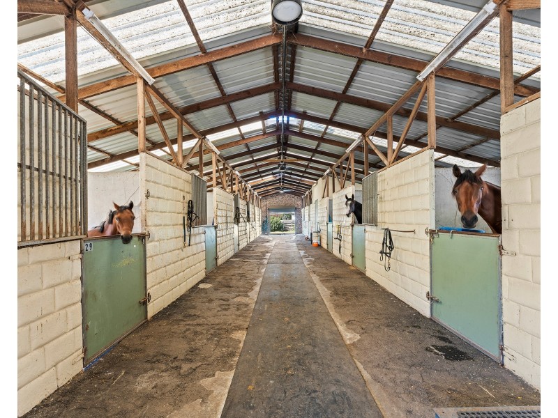 1a Kingston Town Drive, Kembla Grange NSW 2526