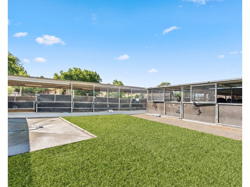 1a Kingston Town Drive, Kembla Grange NSW 2526