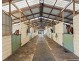 1a Kingston Town Drive, Kembla Grange NSW 2526