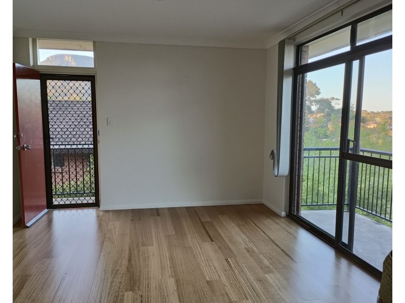 3/13 Zelang Avenue, Figtree NSW 2525