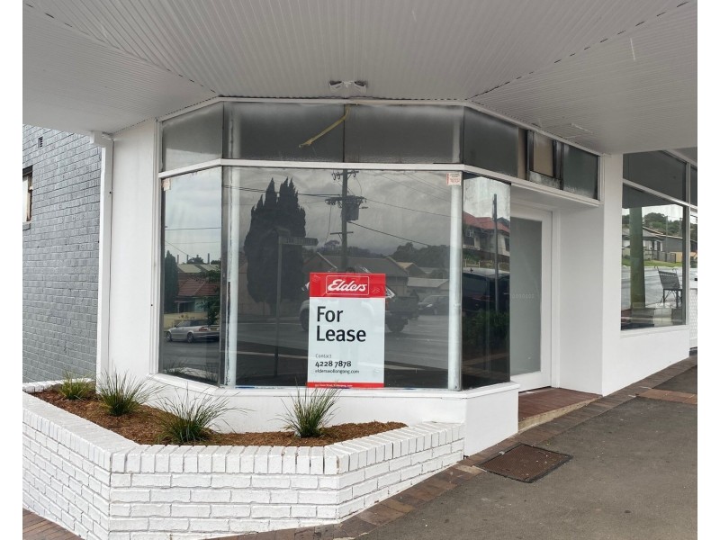 3 & 4/7-9 Lake Avenue, Cringila NSW 2502