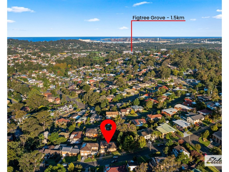 25 Cypress Avenue, Figtree NSW 2525