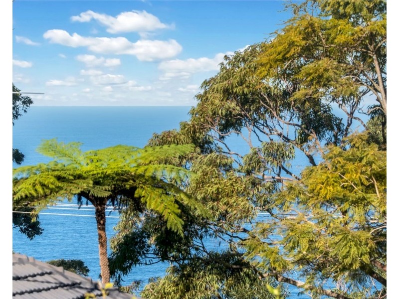 25 Stonehaven Road, Stanwell Tops NSW 2508