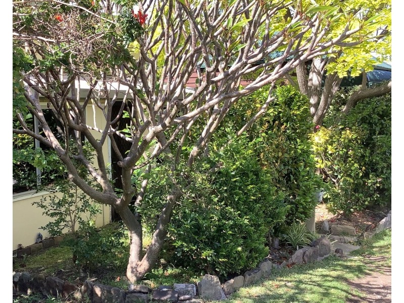 451 Lawrence Hargrave Drive, Scarborough NSW 2515