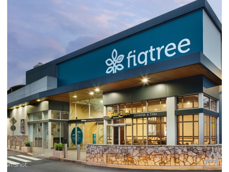 175 The Avenue, Figtree NSW 2525