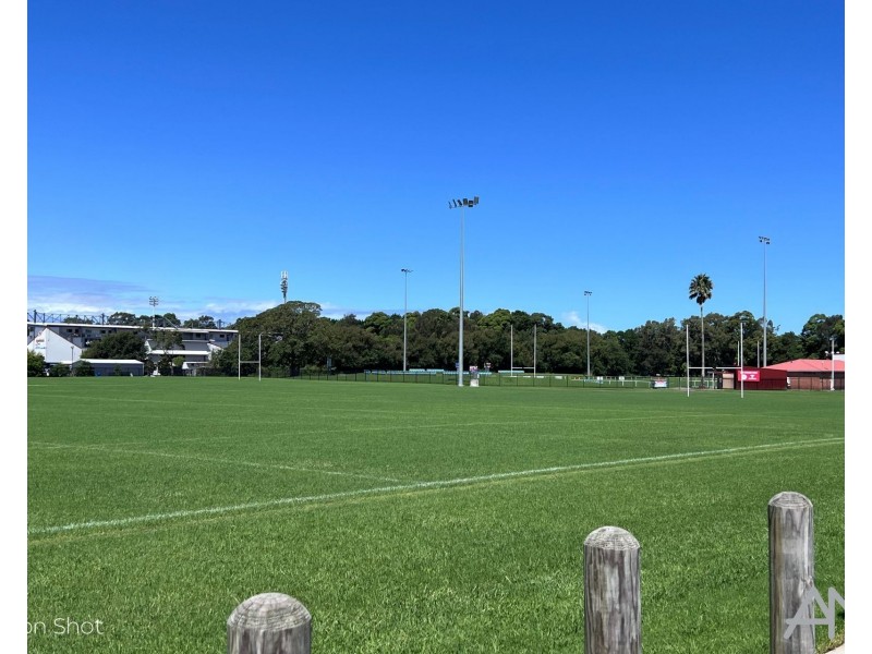 175 The Avenue, Figtree NSW 2525