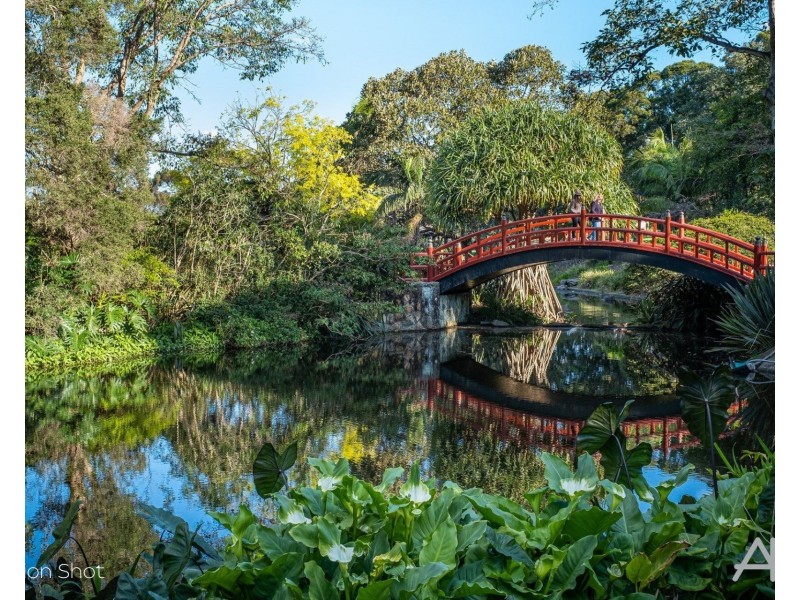 14 Dallas Street, Keiraville NSW 2500