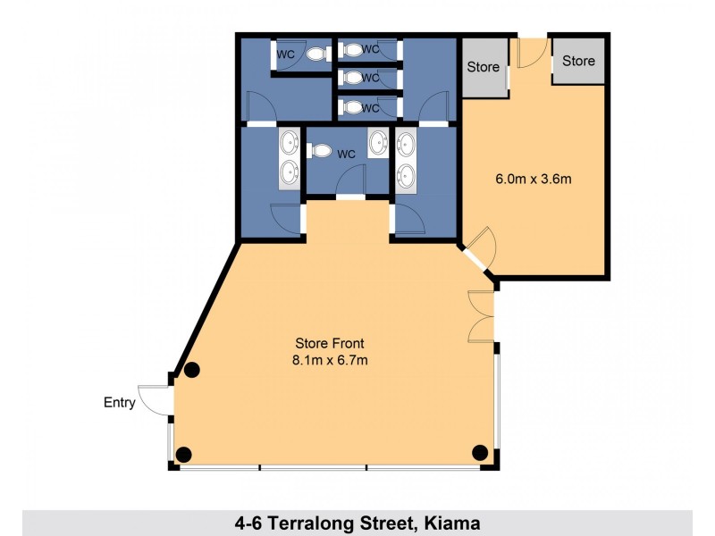 4-6 Terralong Street, Kiama NSW 2533