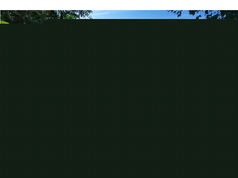 11 Andrews Close, Port Douglas QLD 4877