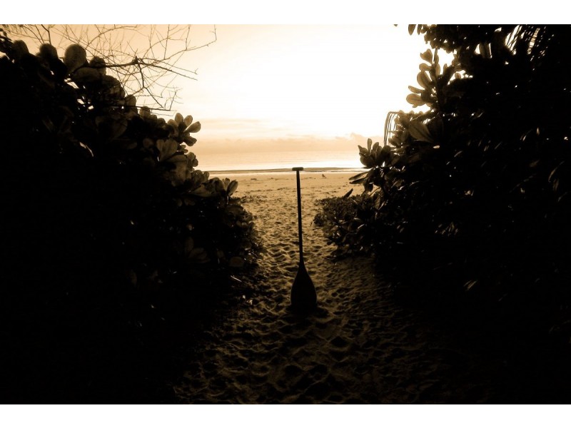 11 Andrews Close, Port Douglas QLD 4877