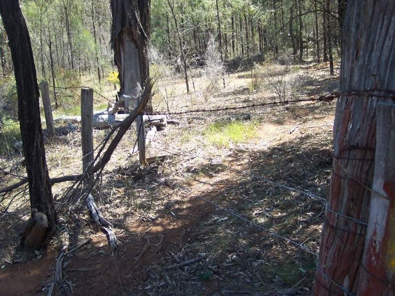 LOT 112 CASTLEREAGH HIGHWAY, Mendooran NSW 2842