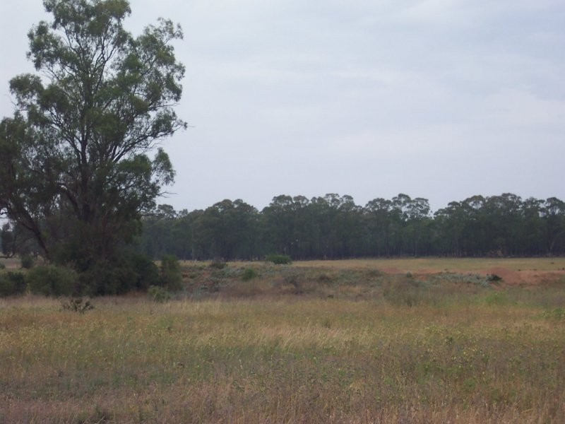 Lot 2  Obley Road, Dubbo NSW 2830