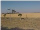 Lot 9 Aralee Estate, Gilgandra NSW 2827