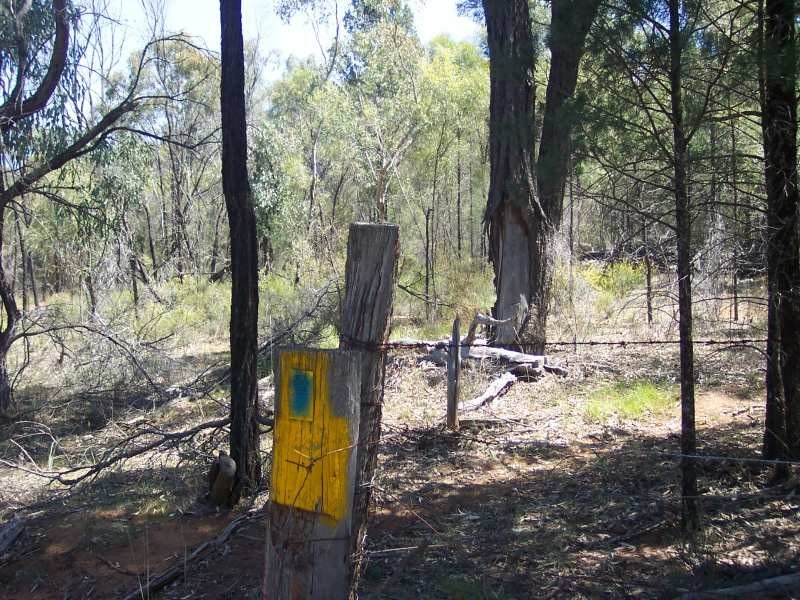 LOT 112 CASTLEREAGH HIGHWAY, Mendooran NSW 2842