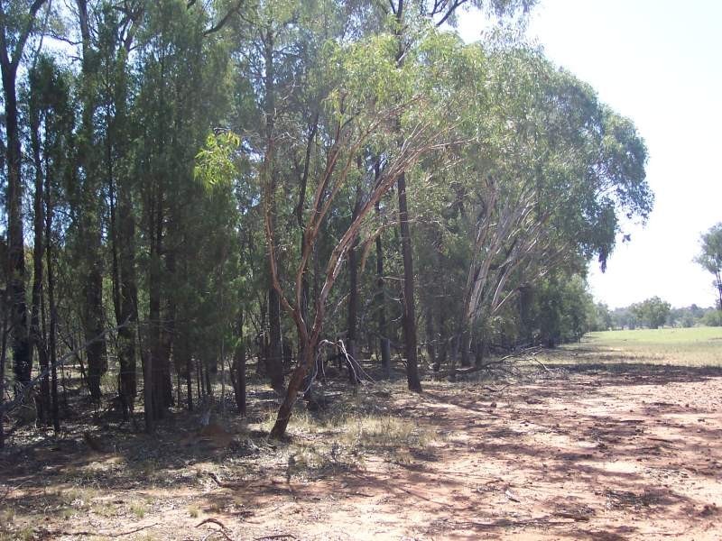 LOT 112 CASTLEREAGH HIGHWAY, Mendooran NSW 2842
