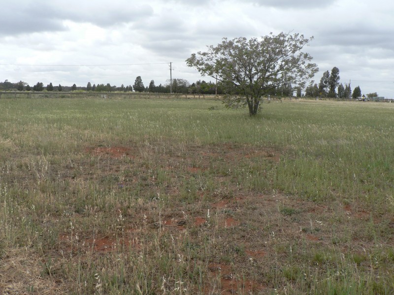 23 Buninyong Road, Dubbo NSW 2830