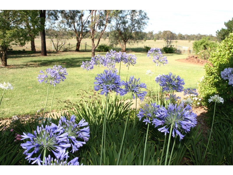 71R Obley Road, Dubbo NSW 2830