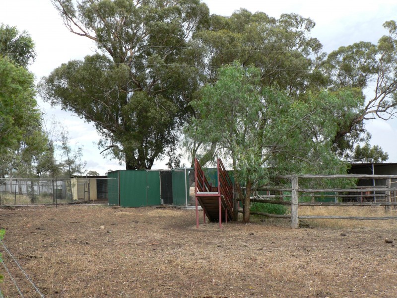 71R Obley Road, Dubbo NSW 2830