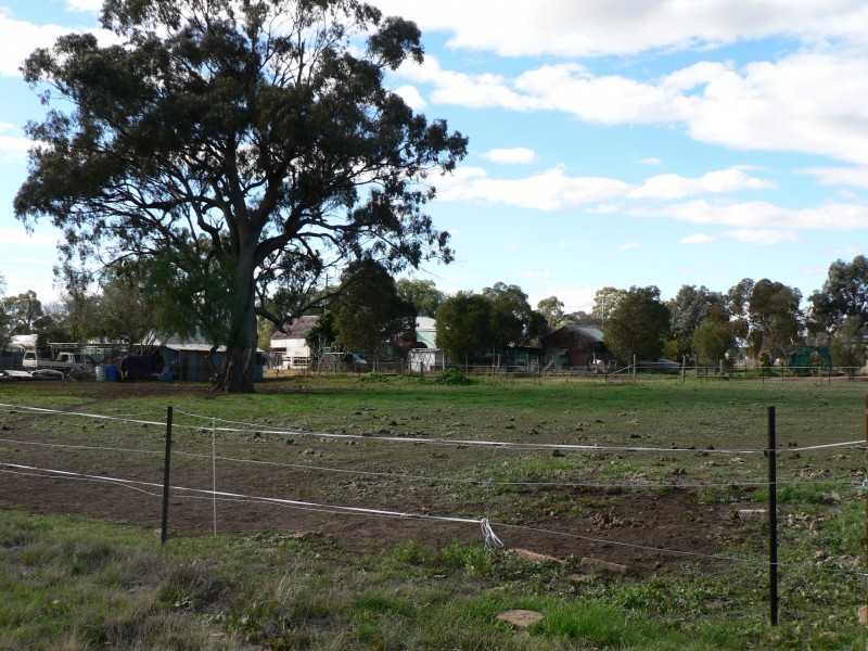 Lots 2 & 3 Napier Street, Mendooran NSW 2842