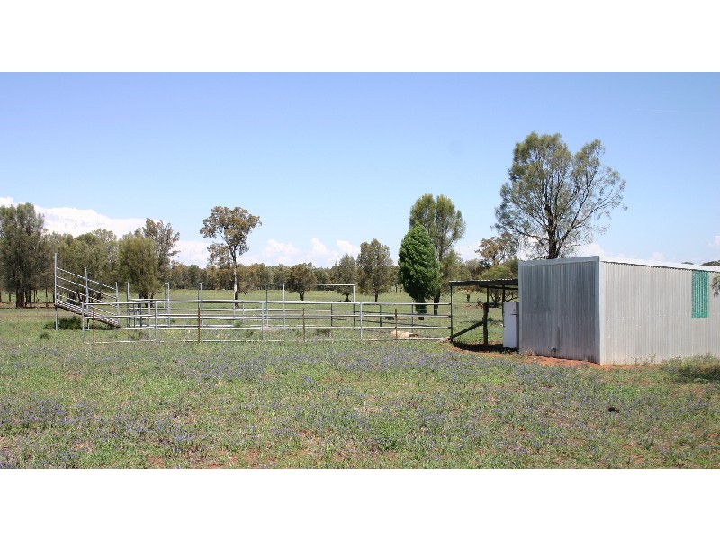 8R Thornwood Road, Dubbo NSW 2830
