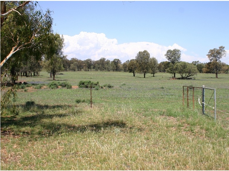 8R Thornwood Road, Dubbo NSW 2830
