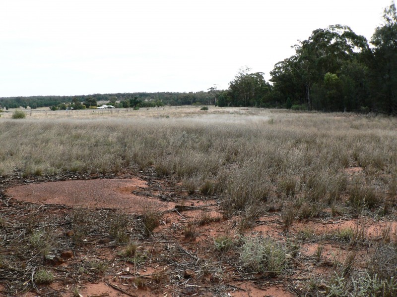 11R Dungary Road, Dubbo NSW 2830