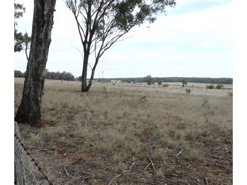 11R Dungary Road, Dubbo NSW 2830