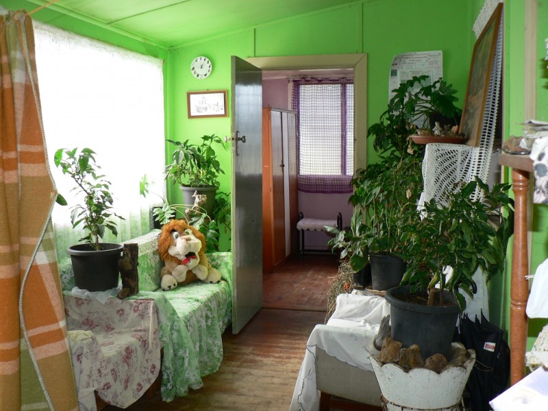 17 Frederick Road, Mendooran NSW 2842