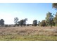 Lot 29 Lawnside Drive, Mendooran NSW 2842