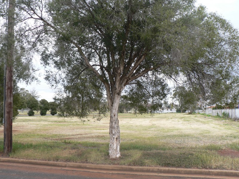 3 Aruma Street, Dubbo NSW 2830